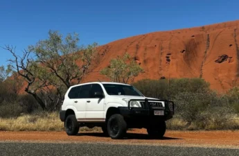 Go on a night safari in a 4WD to spot rare wildlife in Uluru