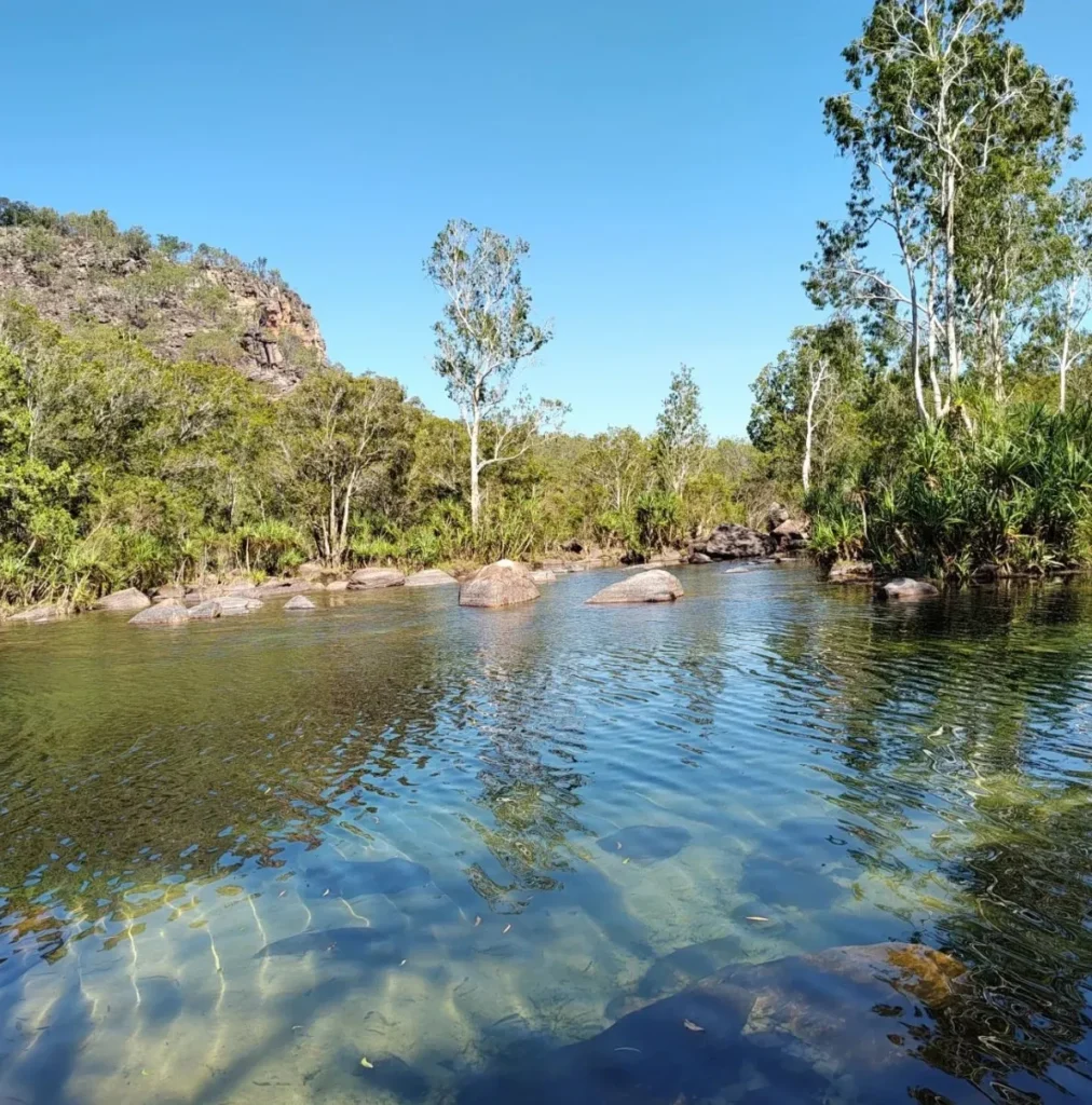 The Challenges of Conservation