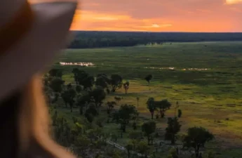 Wildlife Spotting in Kakadu