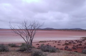 lake gairdner tasmania camping