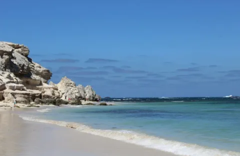 the best time to see the stingrays at hamelin bay