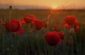 meaning of anzac day